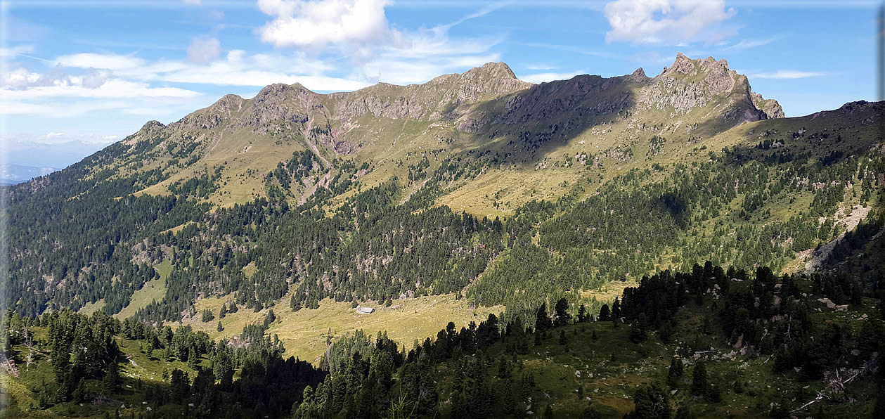 foto Forcella di Montalon